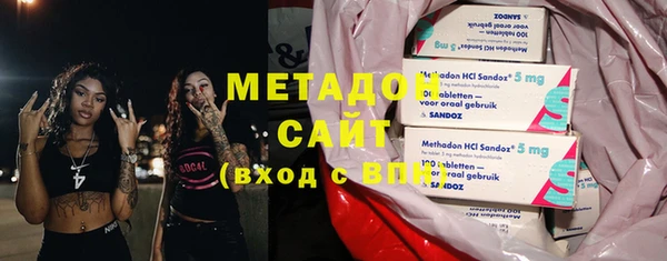 шишки Тайга