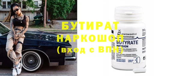 шишки Тайга