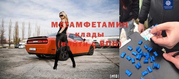 шишки Тайга
