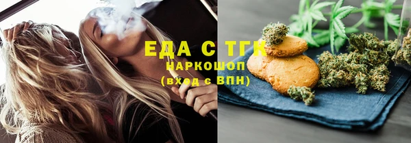 шишки Тайга