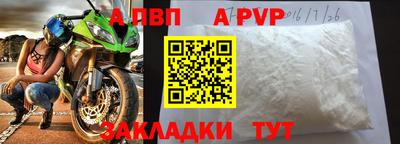 jwh Кингисепп