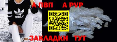 jwh Кингисепп