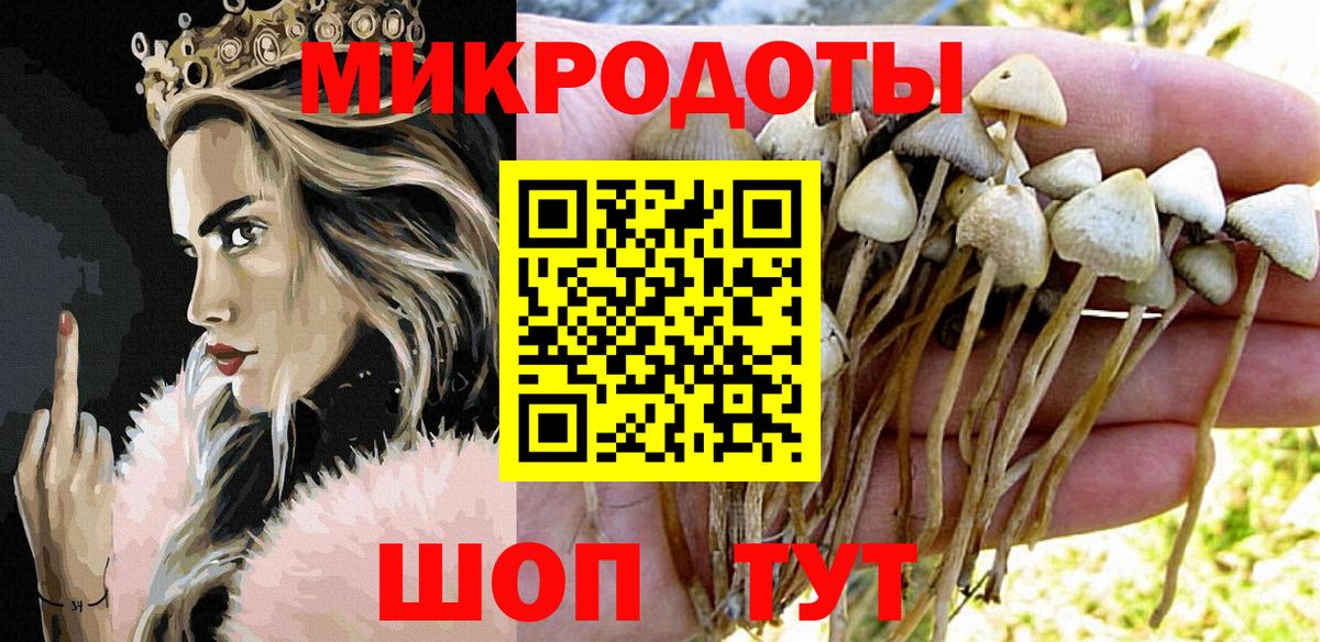 Псилоцибиновые грибы ЛСД  Галлюциногенные грибы GOLDEN TEACHER  Саратов 