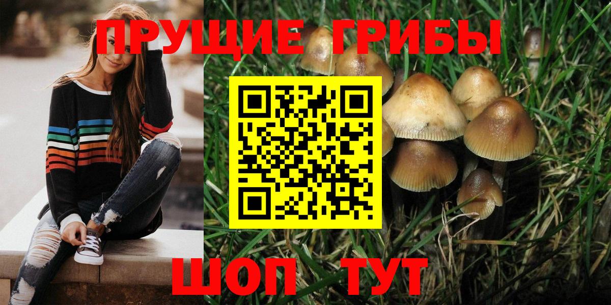 Саратов  Галлюциногенные грибы Psilocybine cubensis  Вход с VPN  Галлюциногенные грибы ЛСД 