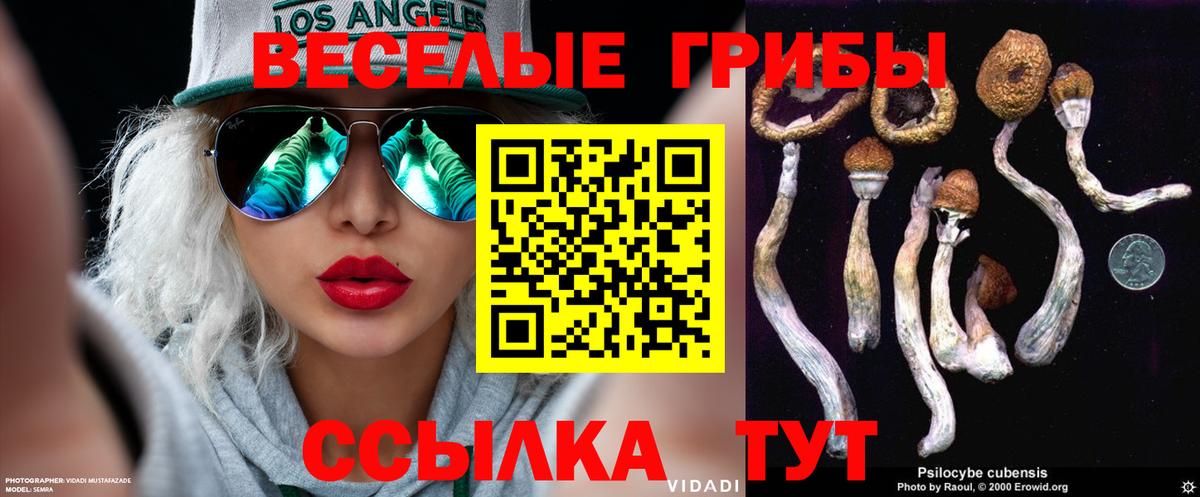 Галлюциногенные грибы MAGIC MUSHROOMS Саратов