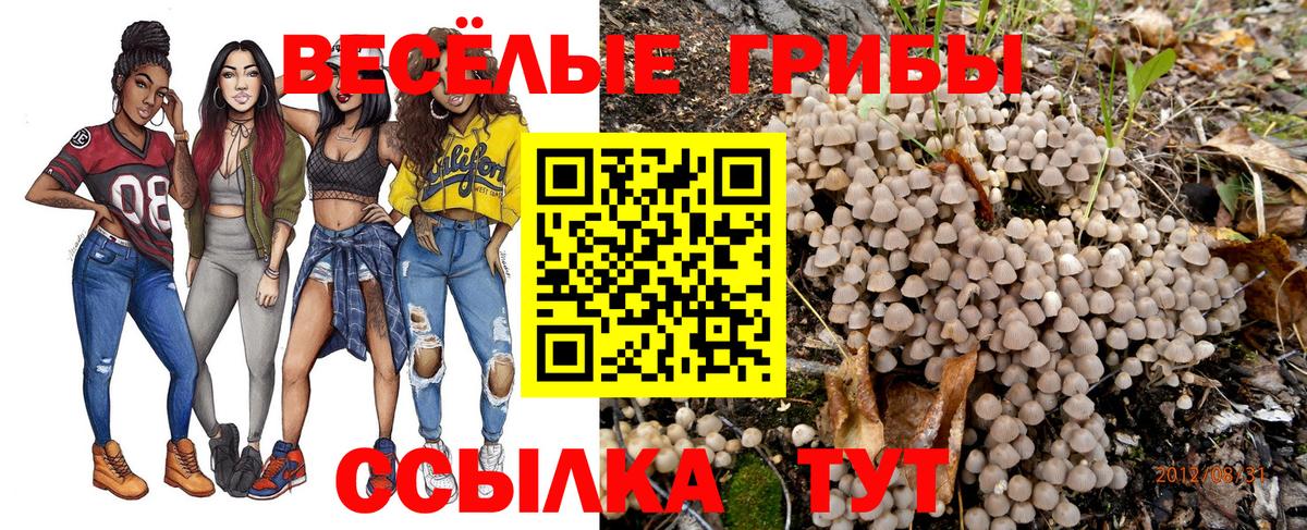 Псилоцибиновые грибы Magic Shrooms Саратов